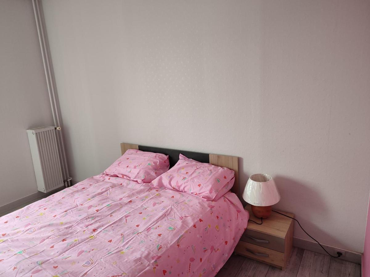 Grand Et Superbe Appartement Proche Paris Creil Exterior foto